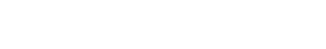 Company of Heroes 2 logo