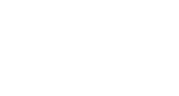 RaceRoom Racing Experience logo